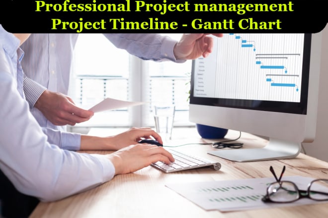 I will do project management, project timeline and gantt chart