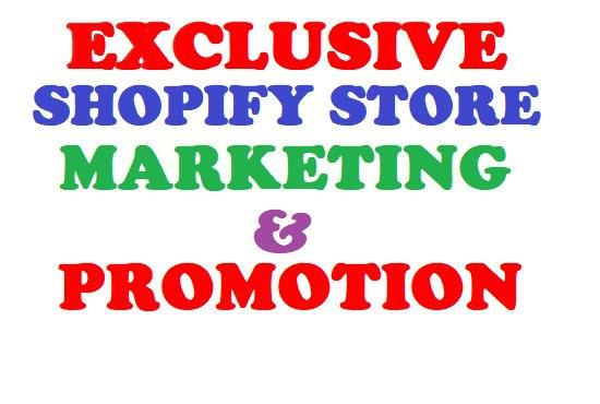 I will do shopify marketing, ecommerce marketing,shopify website design,shopify expert
