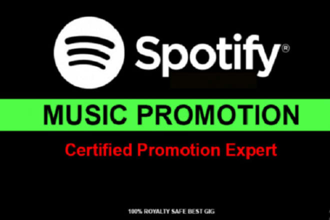 I will do spotify promotion through social media and online marketing