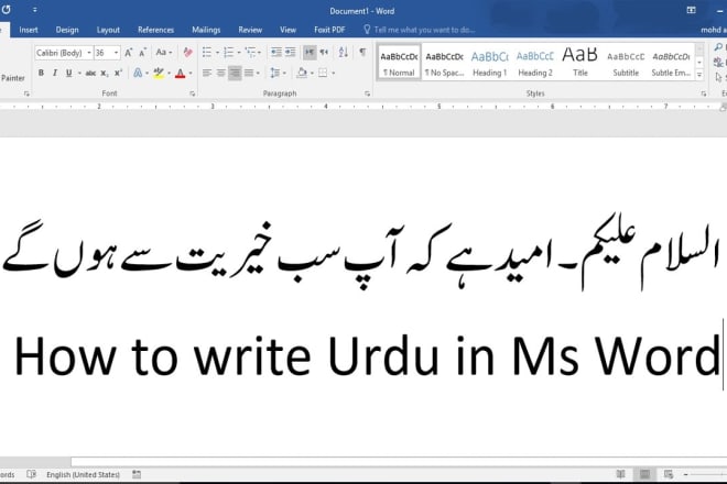 I will do urdu to english translation and urdu typing