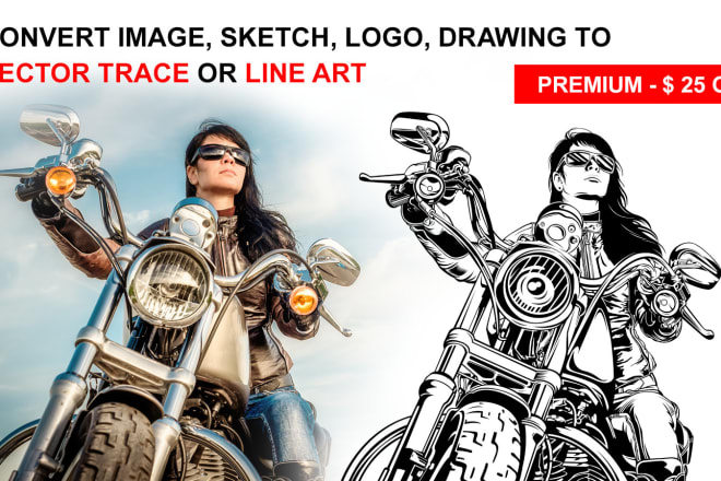 I will do vector trace from any image, sketch, logo, drawing