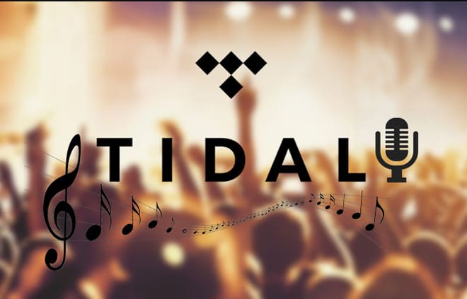 I will do viral and organic tidal music promotion