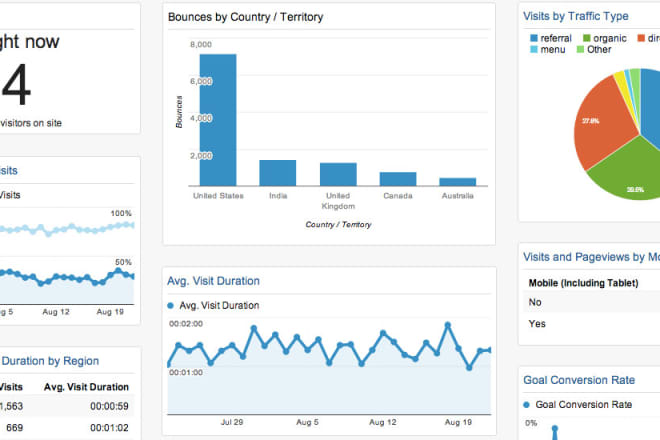 I will do website traffic audit and customized report to your needs