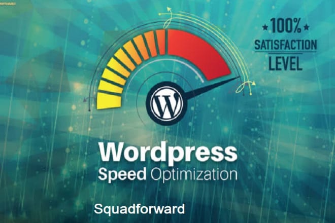 I will do wordpress website speed optimization, increase page speed with gtmetrix