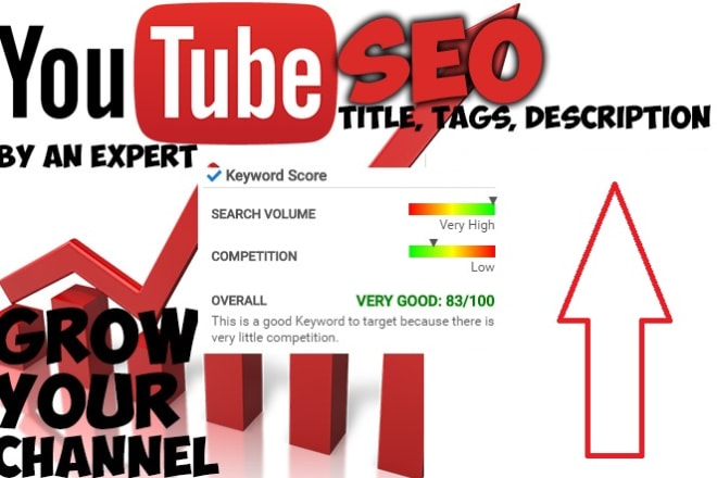 I will do youtube SEO of your video, write title description tags