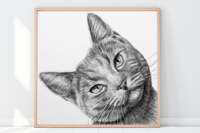 I will draw a custom pet portrait, dog portrait, cat portrait