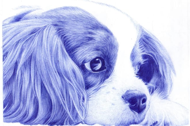 I will draw a realistic portrait of your dog cat or any pet