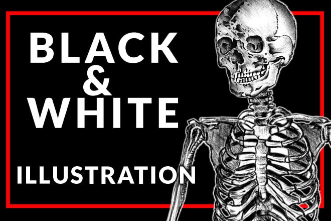I will draw black and white ink and pencil illustration digital artwork commission