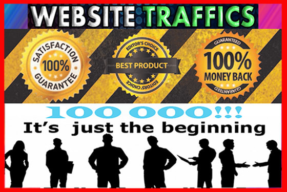 I will drive 100k guaranteed real visitors to your website