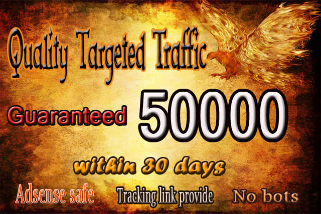 I will drive 50k usa niche targeted,visitors website,traffic