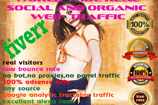 I will drive adsense safe genuine web traffic with low bounce rate