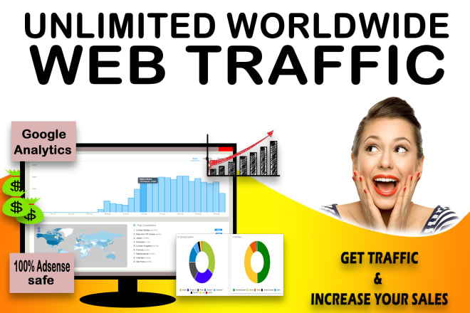 I will drive huge worldwide traffic to your website