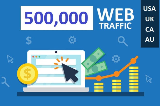 I will drive real 500,000 web traffic visitors to your website