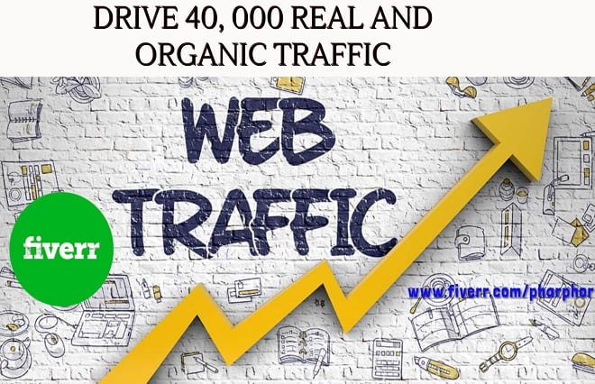 I will drive real, active and organic web traffic, boost SEO