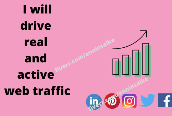 I will drive real and active web traffic
