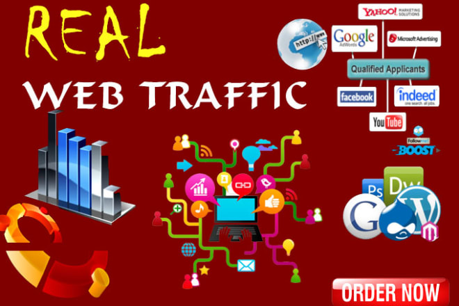 I will drive real worldwide web traffic for 1 month