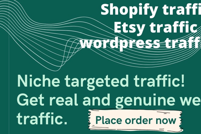 I will drive traffic to your ecommerce website, shopify store, etsy store, woocommerce