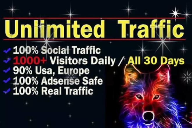 I will drive unlimited real human traffic to your website or page