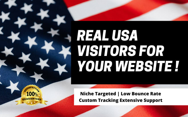 I will drive USA targeted organic traffic for your website