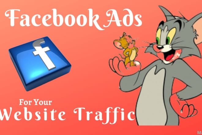 I will drive website traffic and lead generate for a website by facebook