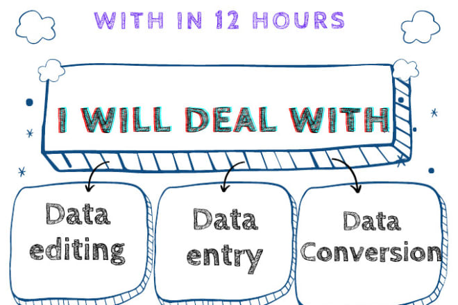 I will edit, input and convert your data