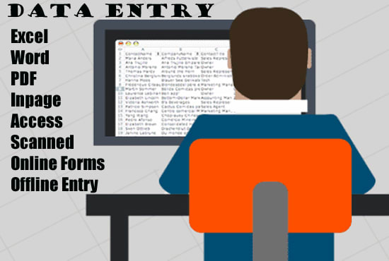 I will enter data in any software online or offline