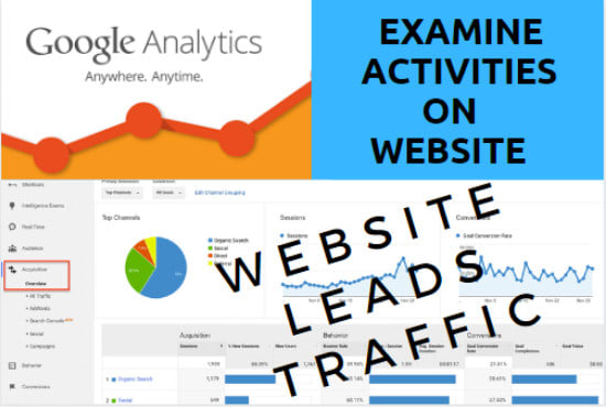 I will examine all activities on google analytics for your website