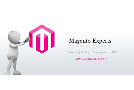 I will expert magento 2 developer