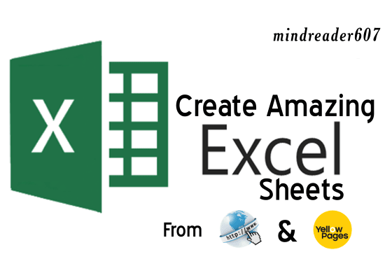 I will extract data using web search or yellow pages in excel sheet