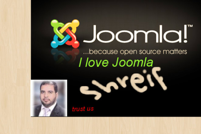 I will fix any joomla issue