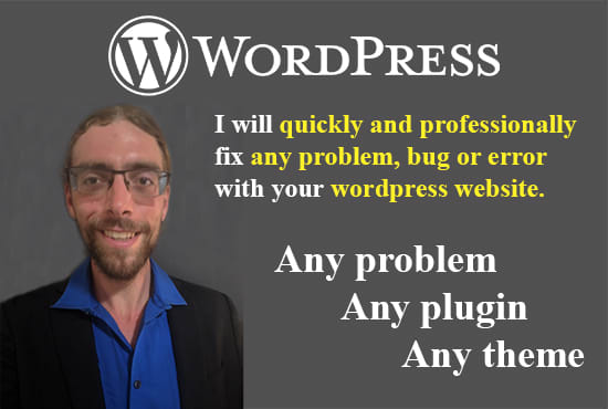 I will fix any wordpress bug, problem or error
