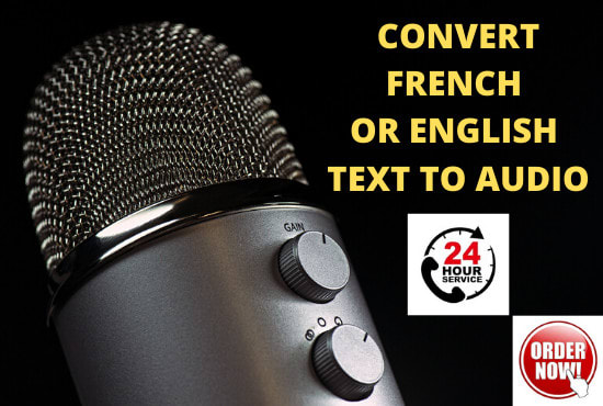 I will flawless convert french or english text to audio