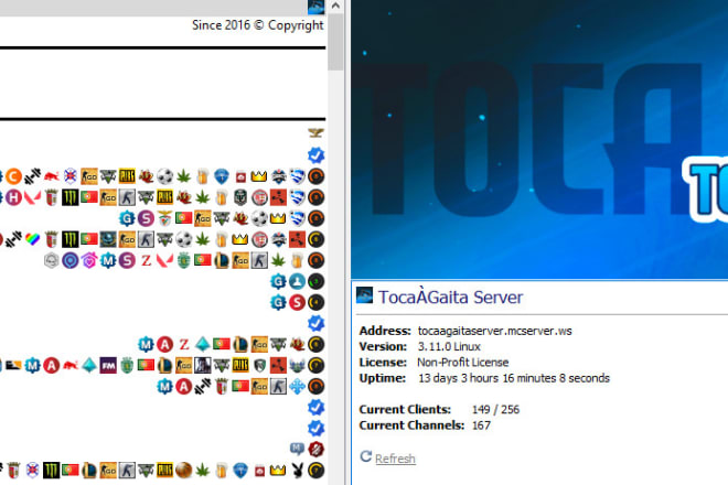 I will fully setup your teamspeak server with bots and automatization
