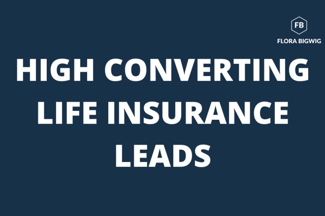 I will generate high conversion facebook ads life insurance leads