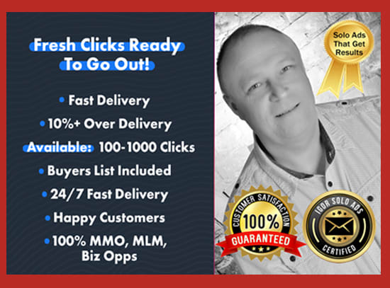 I will guarantee lead generation with my high quality solo ads email traffic