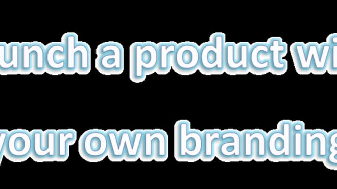 I will help in getting product to launch with your own branding