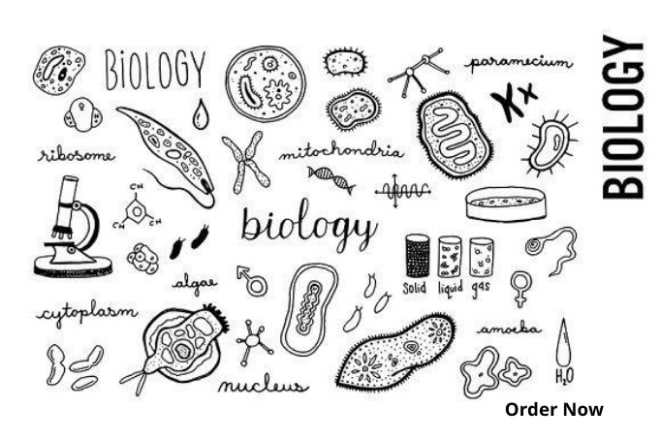 I will help you in biology and chemistry field along with illustrations