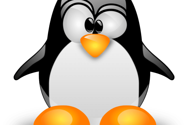 I will help you with your c,cpp and linux programming works