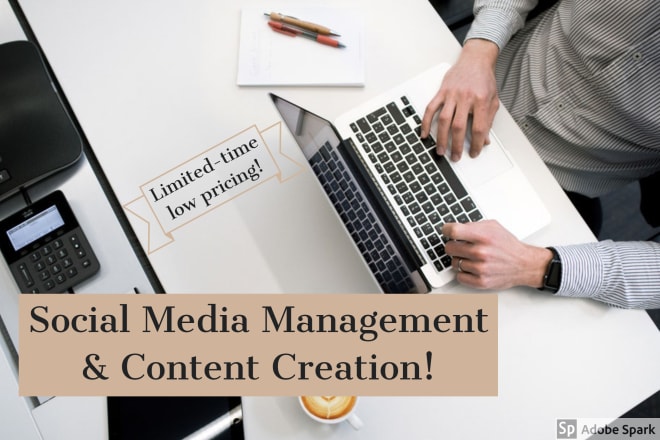 I will improve your social media marketing and create content