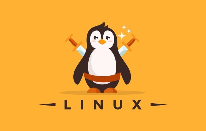 I will install, configure, fix anything in linux