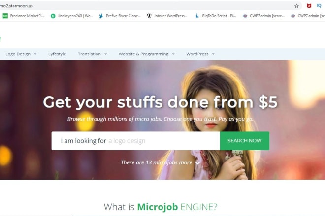 I will install microjobengine latest version freelancing website theme and customize