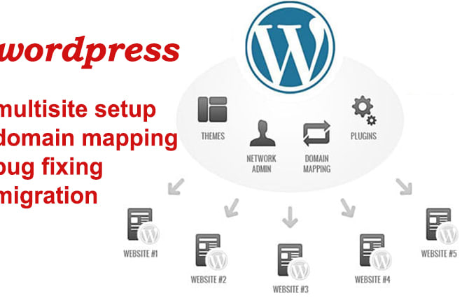 I will install wordpress multisite network for you