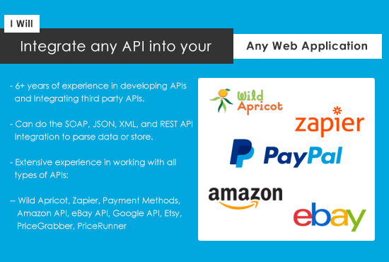 I will integrate API into your any web application