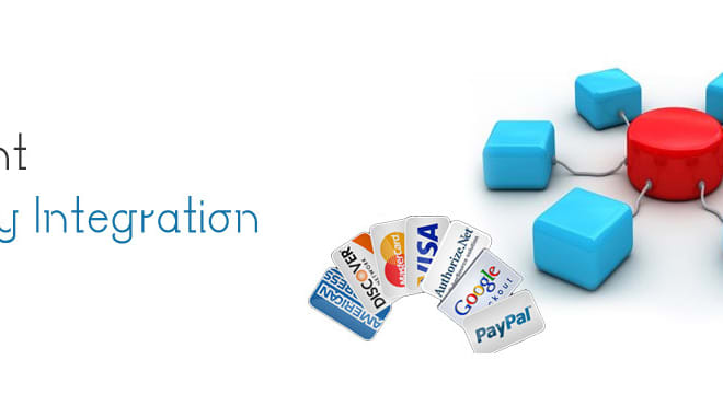 I will integrate paypal stripe payment gateway to your website