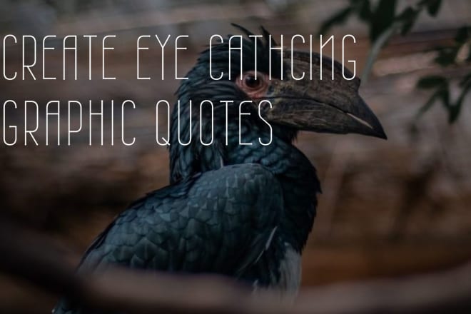 I will make beautiful eye catching graphic quotes