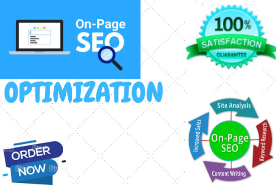 I will manage technical on page SEO for your website