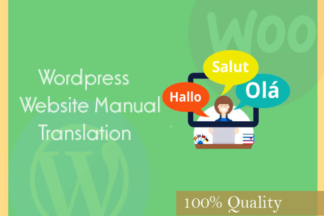 I will manually translate your wordpress website