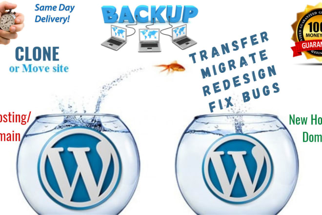 I will migrate, transfer, clone your website in 6 hours