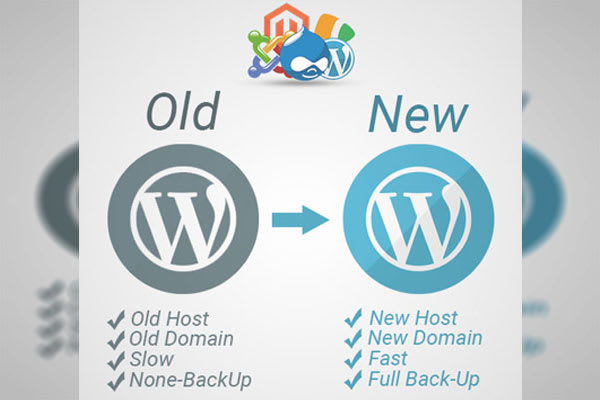 I will move or transfer your old website to new host or domain