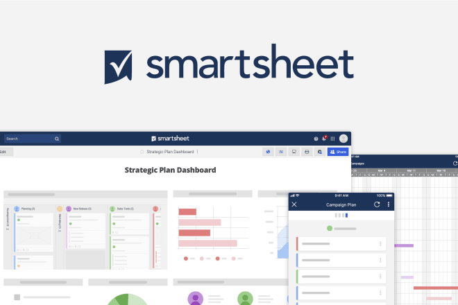 I will offer smartsheet professional consulting services